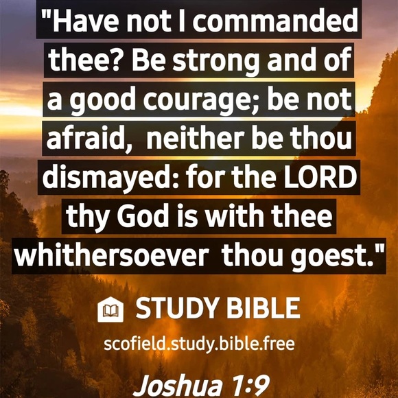 Meet your Posher, Pauline - Picture 1 of 1